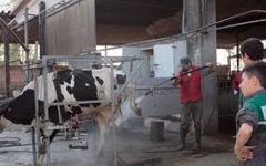 Operatore nell'allevamento